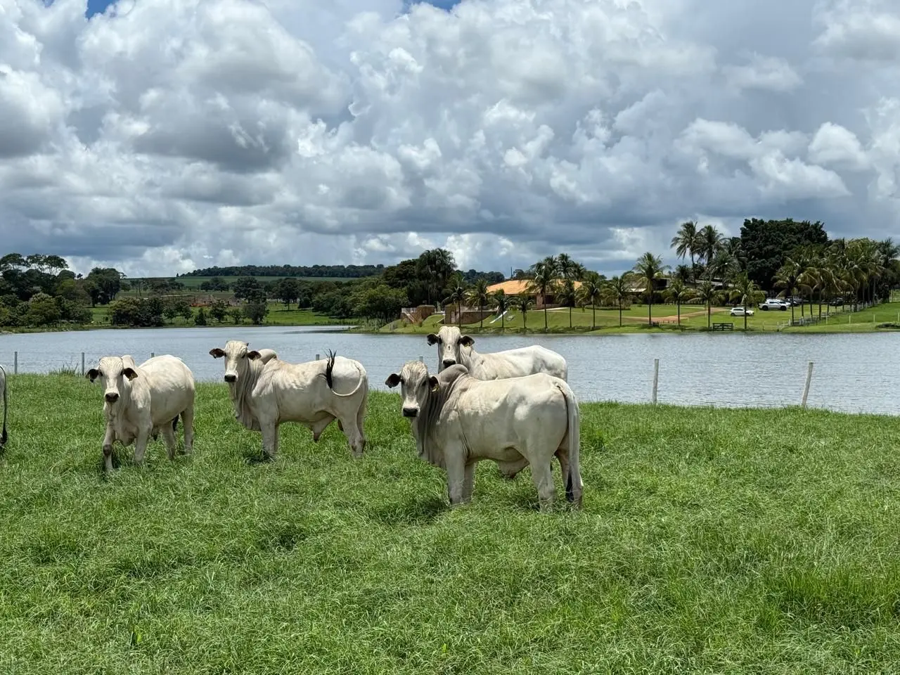 0d372c21-6cb9-411b-a441-fb7e9015fb0b