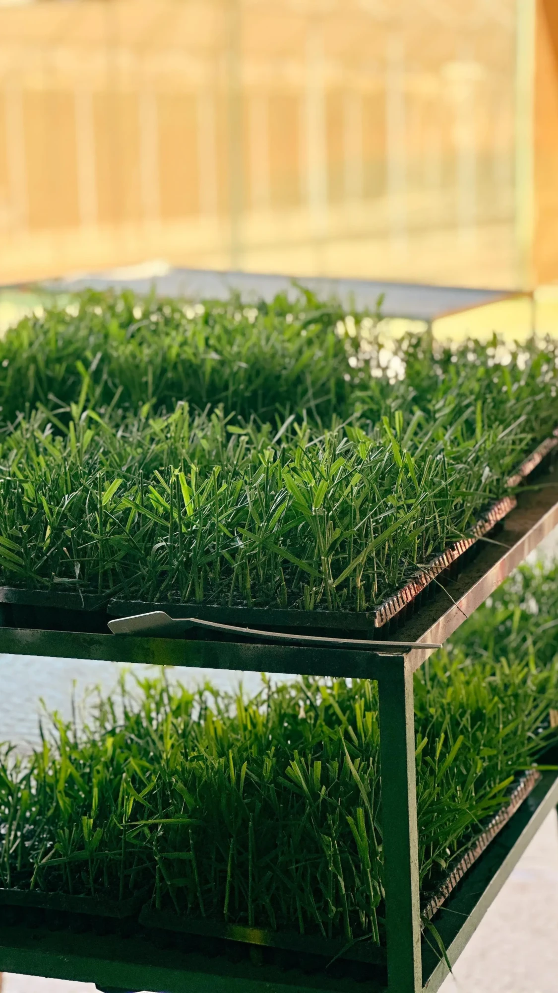 44feae32-a688-497a-9acc-f05cb2251fca