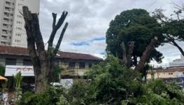 WhatsApp Image 2026-01-21 at 15.10.21