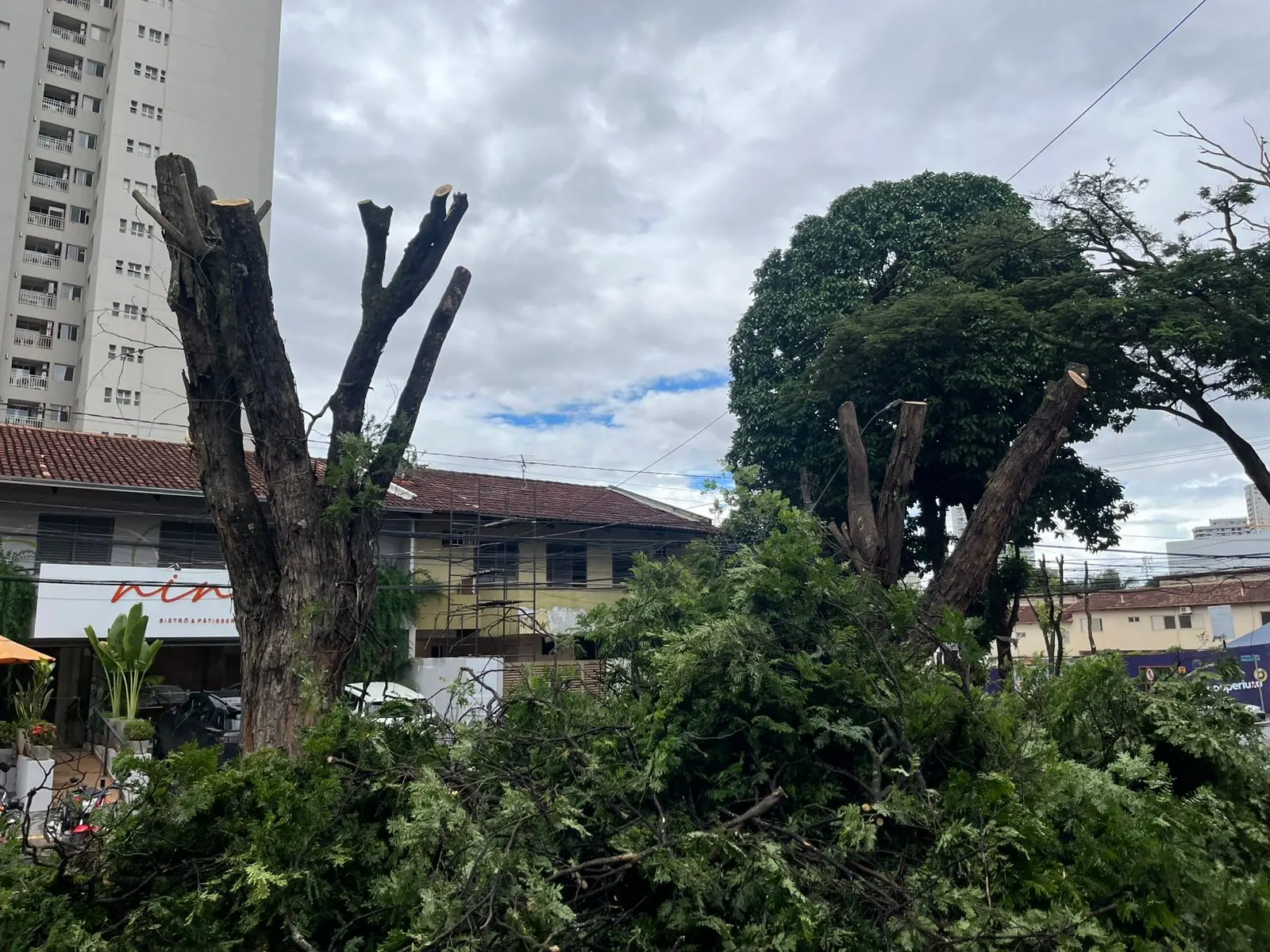 WhatsApp Image 2026-01-21 at 15.10.21