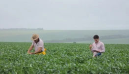 WhatsApp Image 2026-01-23 at 10.11.00