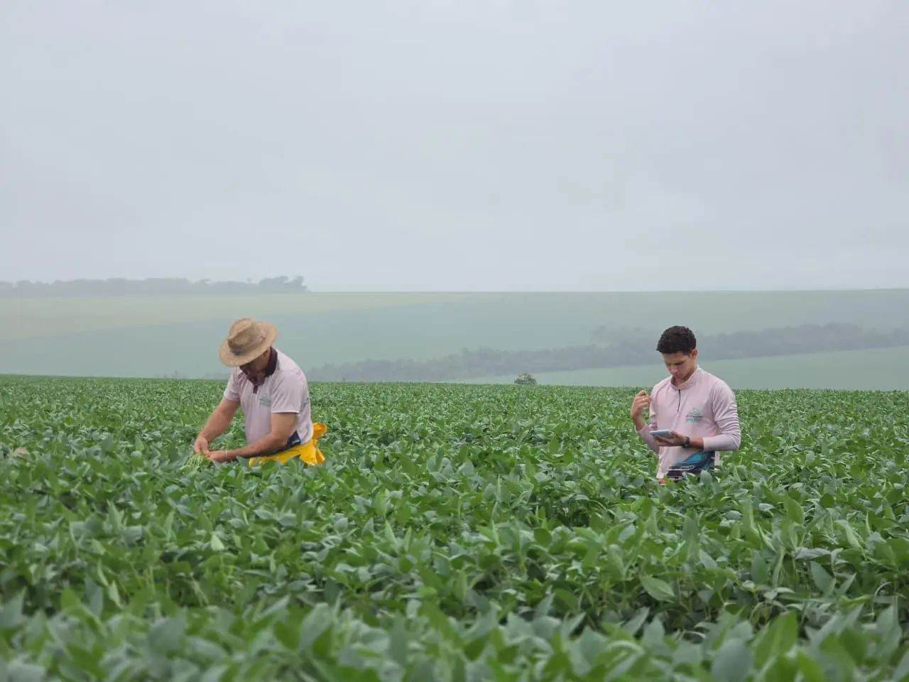 WhatsApp Image 2026-01-23 at 10.11.00