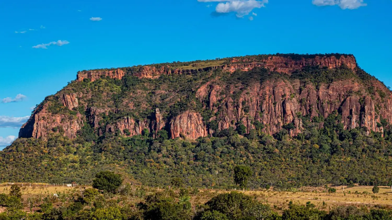 66b7c61a5a0e224907ece116d3b4d7d4