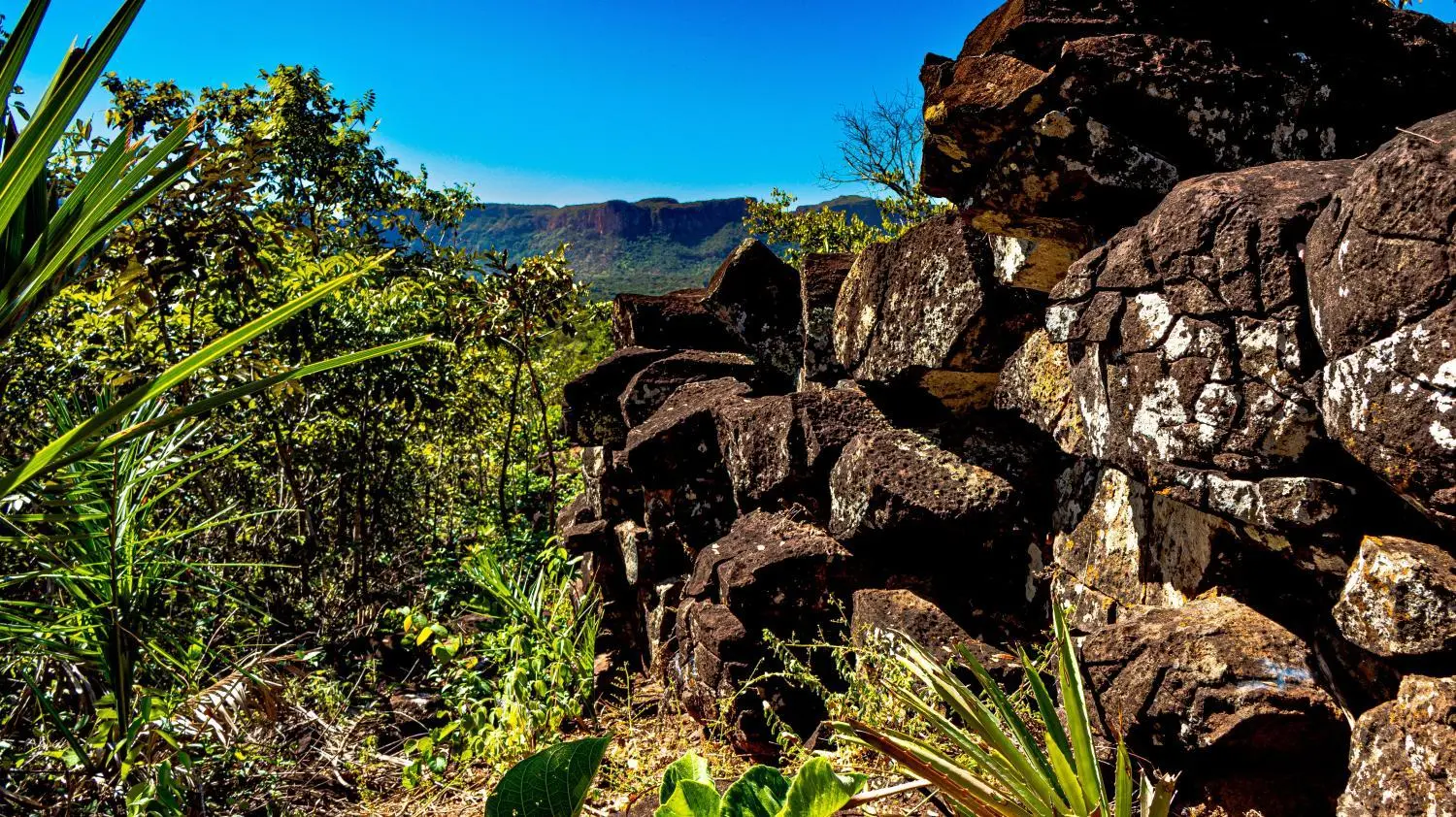 bc50cdaa9f0a2f786b9976ad6c99d7de