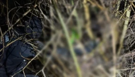 Foto: Divulgação/PC