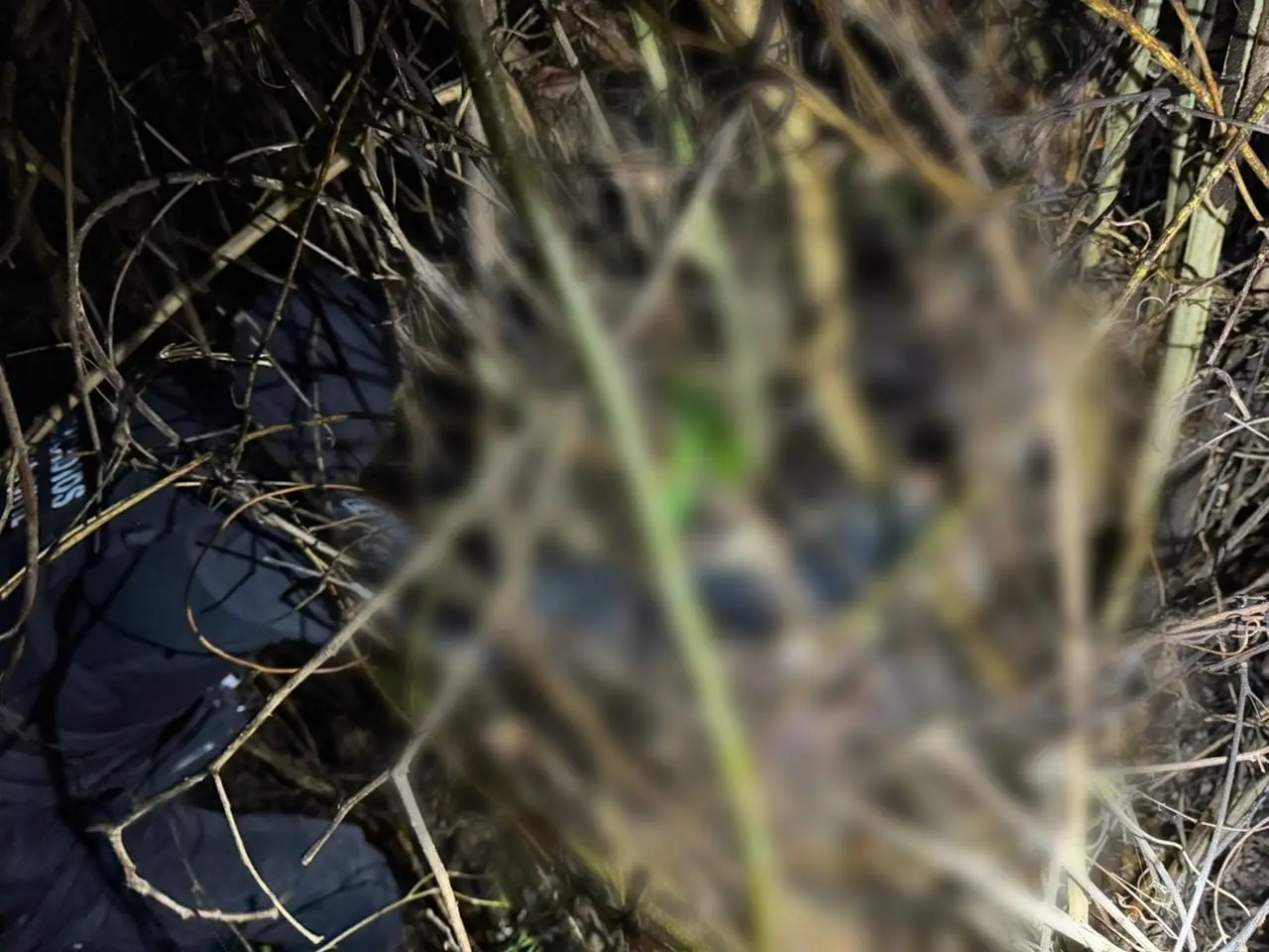 Foto: Divulgação/PC