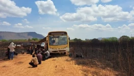 1768608771-61025692-217b-4941-868c-66e498597981