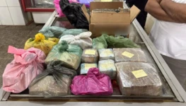 b587c60a-f8e3-4f27-b000-baaf7ba02a6b