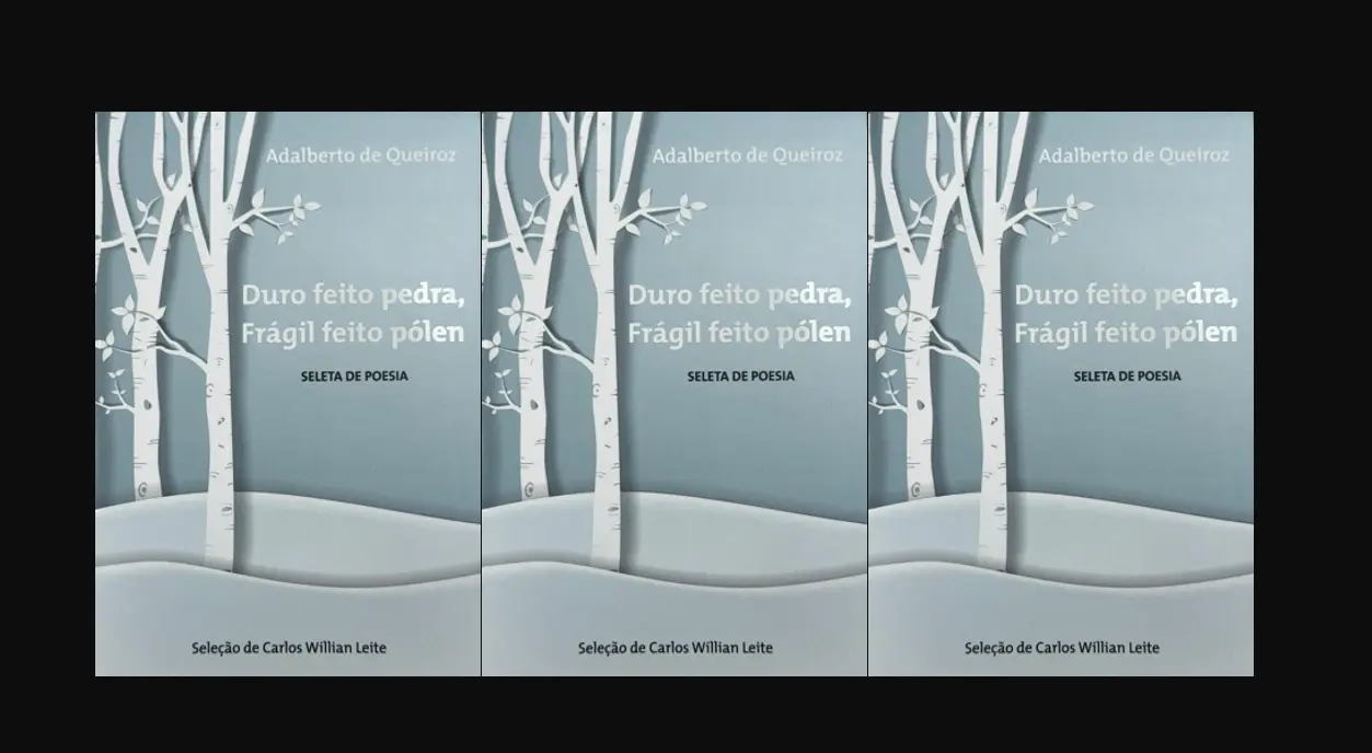 Adalberto Queiroz de Queiroz capa de