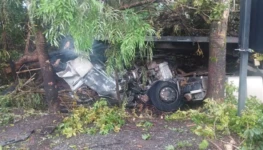 WhatsApp Image 2026-01-31 at 11.43.23