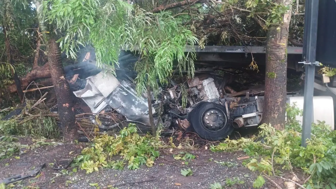 WhatsApp Image 2026-01-31 at 11.43.23