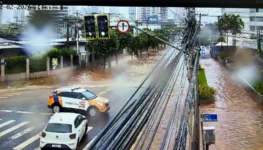 WhatsApp Image 2026-02-02 at 14.34.01