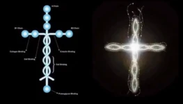 WhatsApp Image 2026-02-03 at 17.23.53