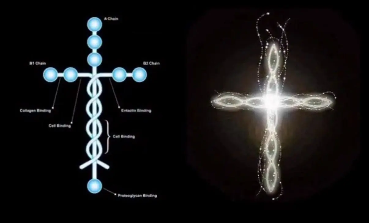 WhatsApp Image 2026-02-03 at 17.23.53