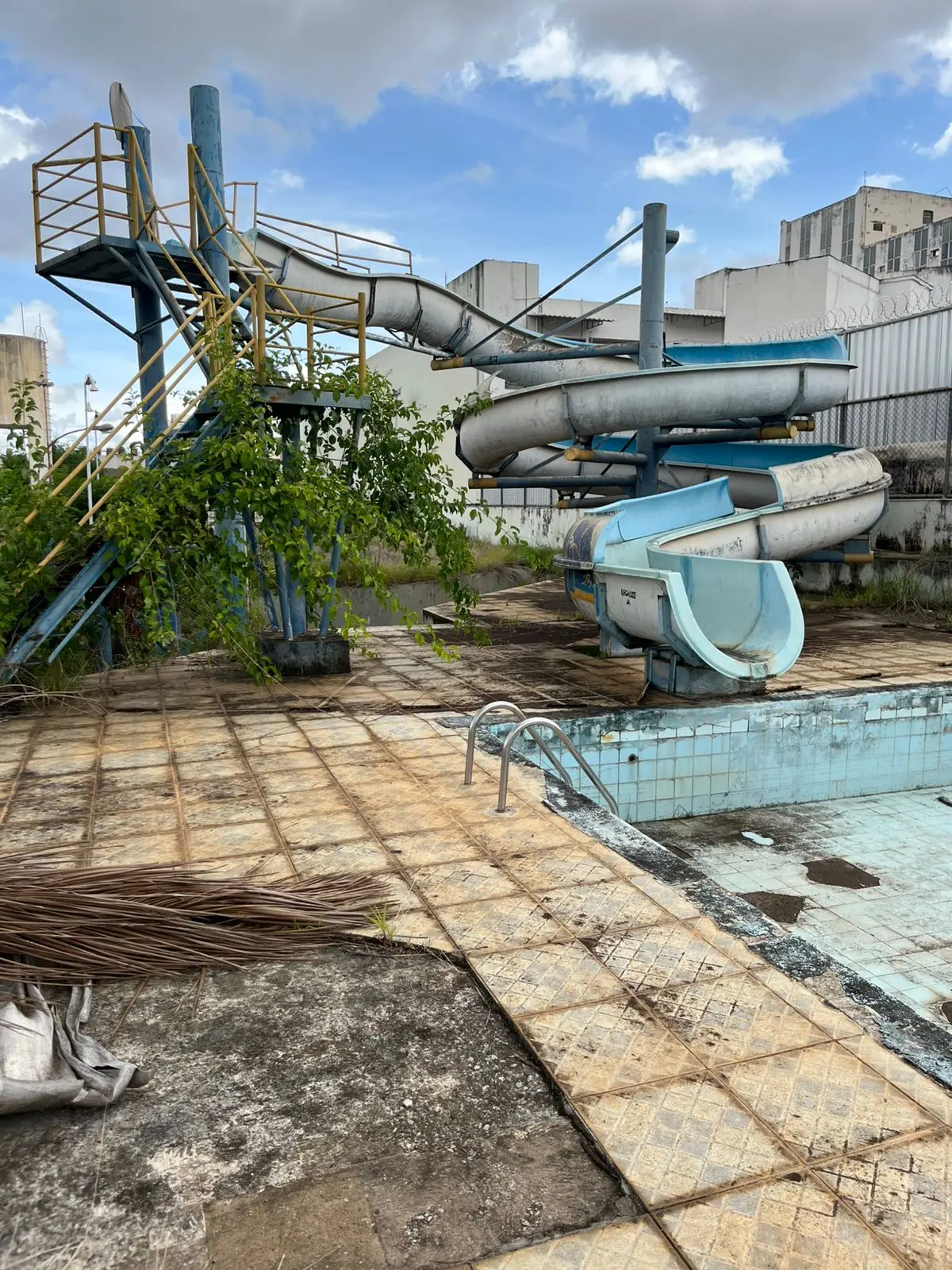 WhatsApp Image 2026-02-04 at 13.20.35