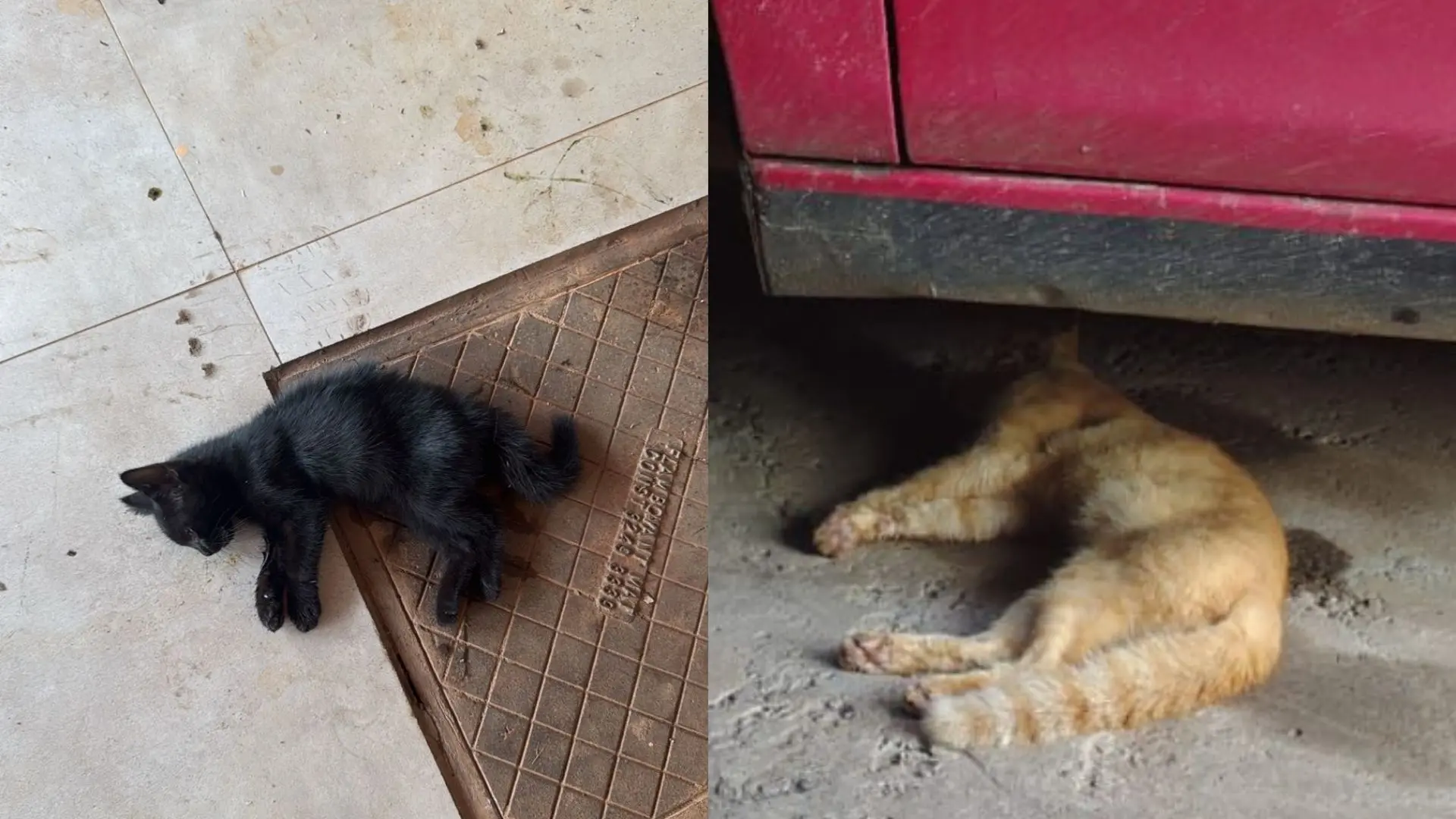 maior parte das propostas, com 11 menções, refere-se e a instituições de ensino e visam estabelecer a obrigatoriedade do estudo da Bíblia na grade curricular e - 2026-02-04T165914.408