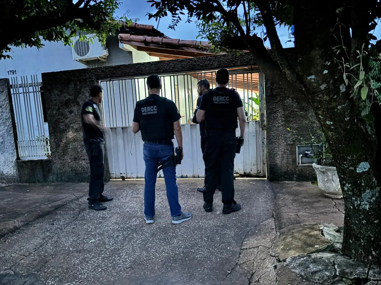 WhatsApp Image 2026-02-05 at 08.27.44