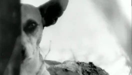 WhatsApp-Image-2020-10-03-at-14.13.58-1-640x445