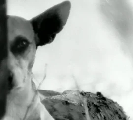 WhatsApp-Image-2020-10-03-at-14.13.58-1-640x445