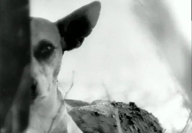 WhatsApp-Image-2020-10-03-at-14.13.58-1-640x445