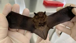 39215752-dfab-4cb7-9f81-2fba26631c71