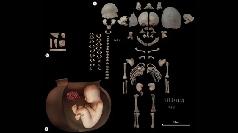 Ritual-fetos-800x450