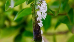 WhatsApp Image 2026-02-05 at 14.44.05 (1)