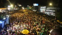 7aba7b79-carnaval-dos-amigos-na-avenida-85