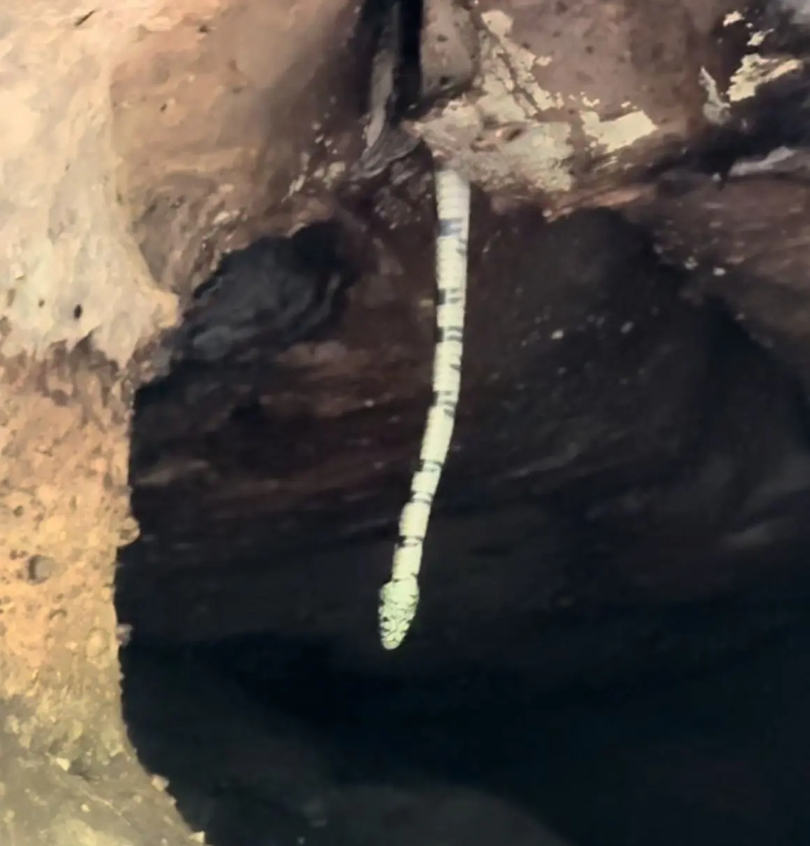 WhatsApp Image 2026-02-10 at 16.15.47