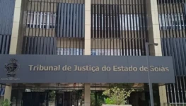 WhatsApp Image 2026-02-10 at 18.12.18