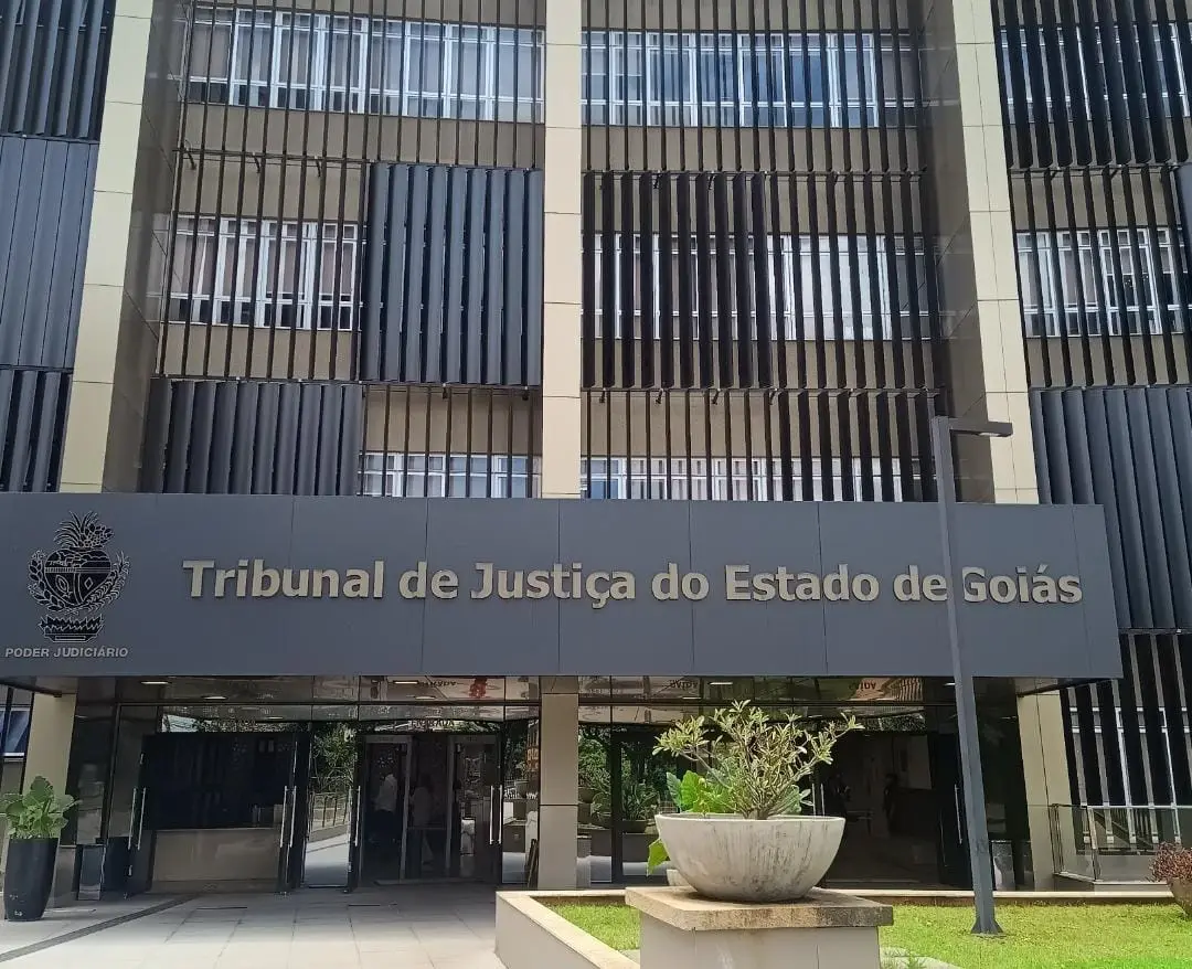 WhatsApp Image 2026-02-10 at 18.12.18