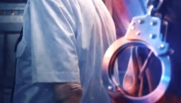 WhatsApp Image 2026-02-10 at 12.31.30 (1)