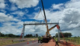 WhatsApp Image 2026-02-12 at 15.16.17