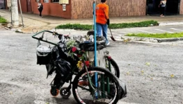 WhatsApp Image 2026-02-13 at 13.32.17