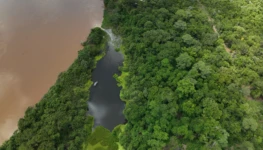 Fig1_foto_abertura_Bini & Nabout.JPG