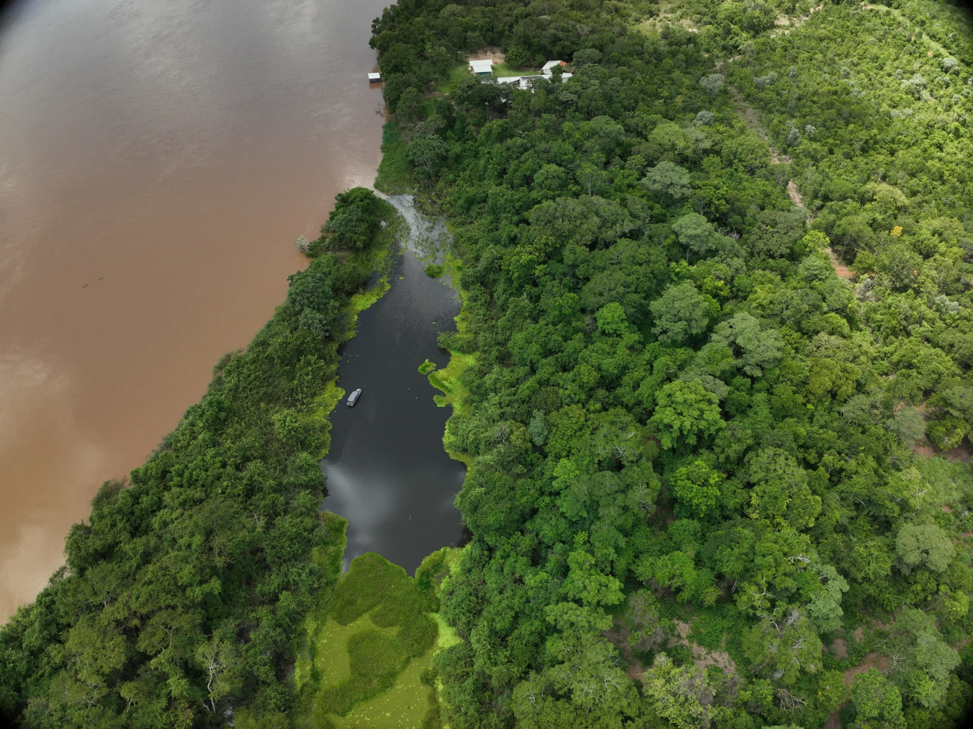 Fig1_foto_abertura_Bini & Nabout.JPG