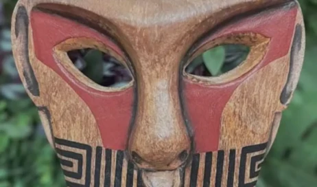 cara de pau máscara 1301 por 867