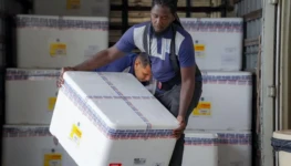 WhatsApp Image 2026-02-20 at 12.10.33