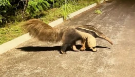 WhatsApp Image 2026-02-19 at 15.06.13