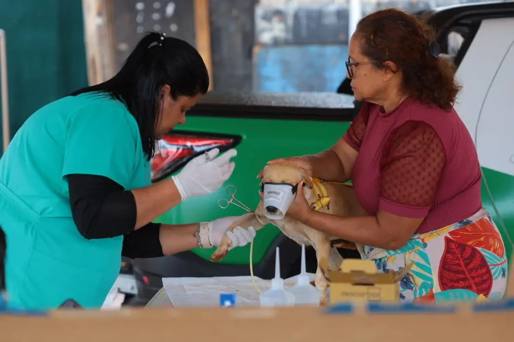 WhatsApp Image 2026-02-20 at 18.08.50