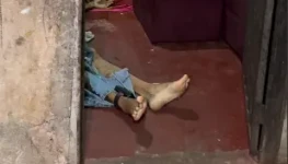 Captura de tela 2026-02-23 075141