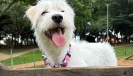 Foto: Arquivo Pessoal