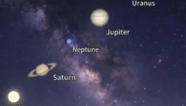 WhatsApp Image 2026-02-24 at 19.09.57