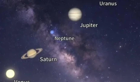 WhatsApp Image 2026-02-24 at 19.09.57