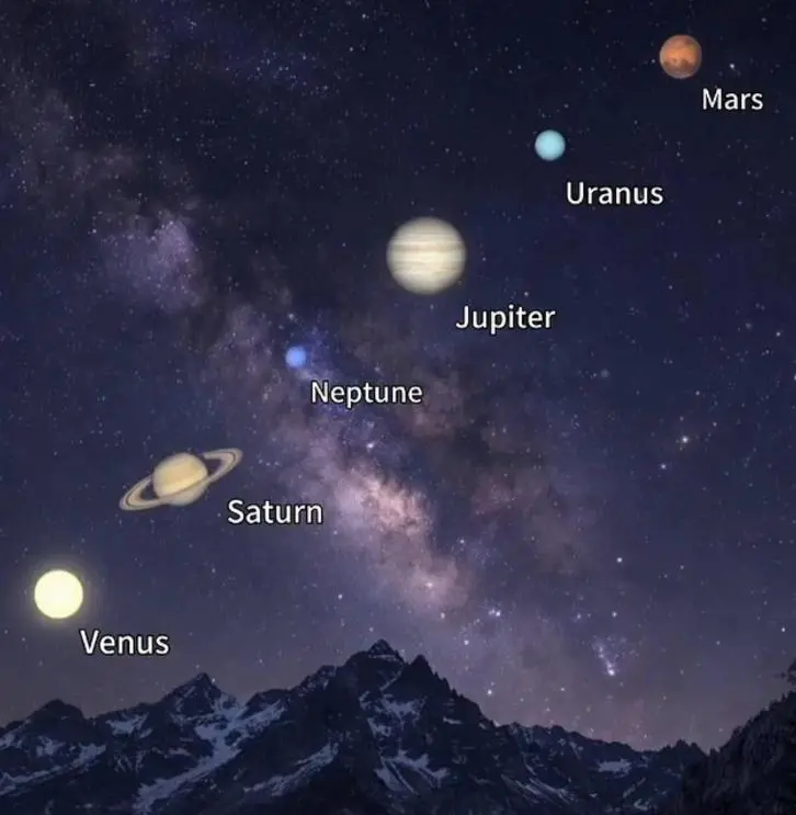 WhatsApp Image 2026-02-24 at 19.09.57