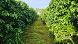 WhatsApp Image 2026-02-26 at 15.09.09