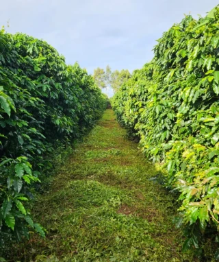 WhatsApp Image 2026-02-26 at 15.09.09