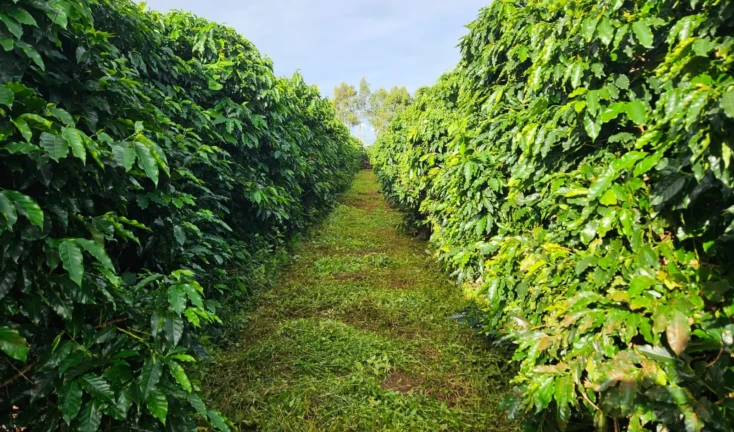 WhatsApp Image 2026-02-26 at 15.09.09