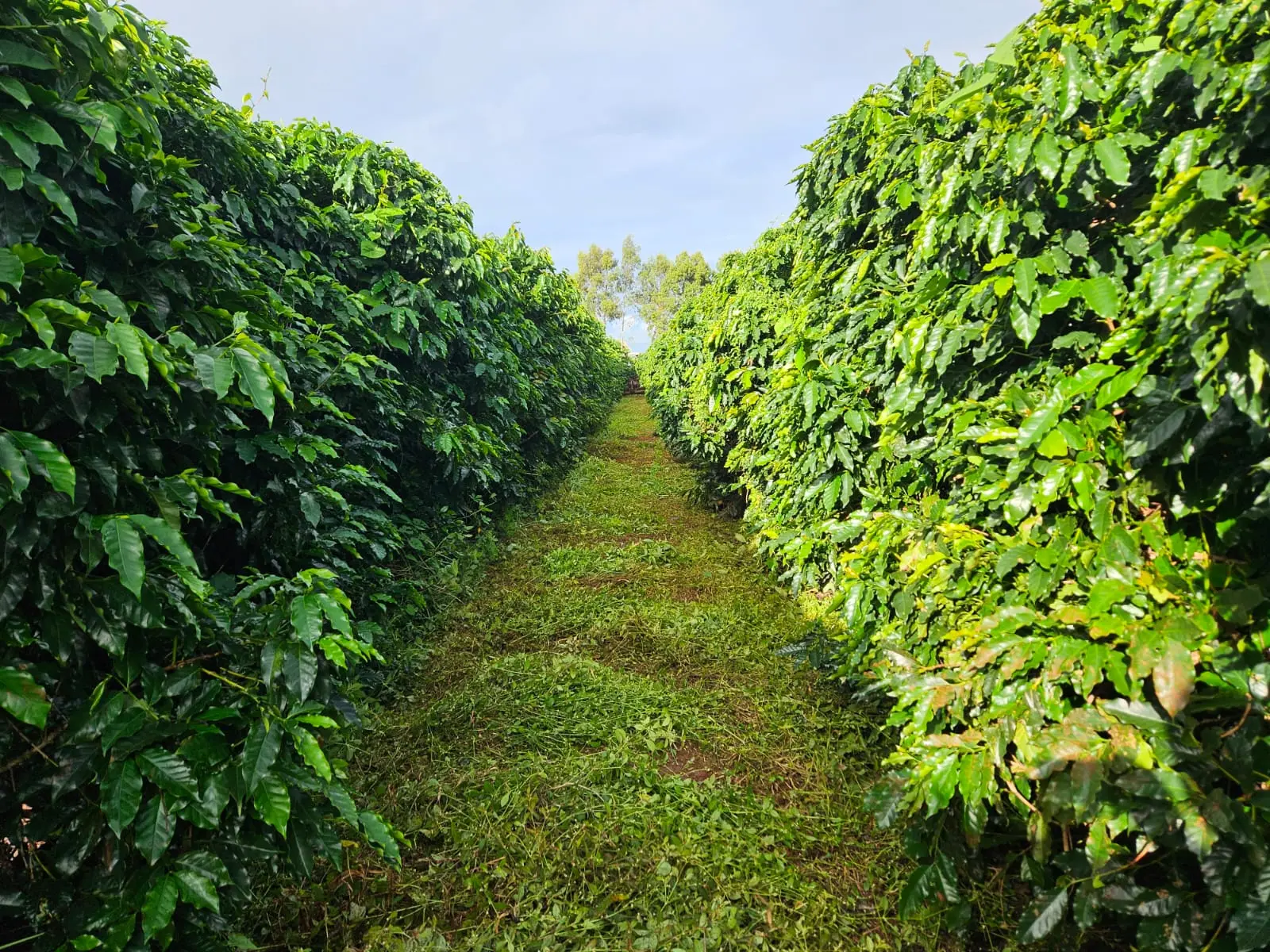 WhatsApp Image 2026-02-26 at 15.09.09