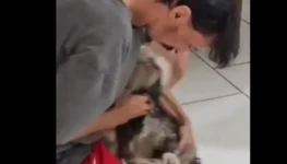 reencontro-dog-tutor-rs